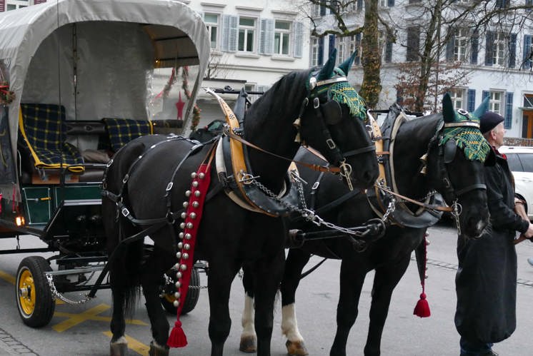 Schwerpunkt: Weihnachten in der Stadt