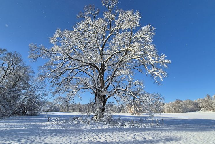 Glauben heute (2)